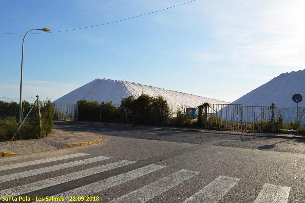 33 SANTA POLA LES SALINES (12).JPG